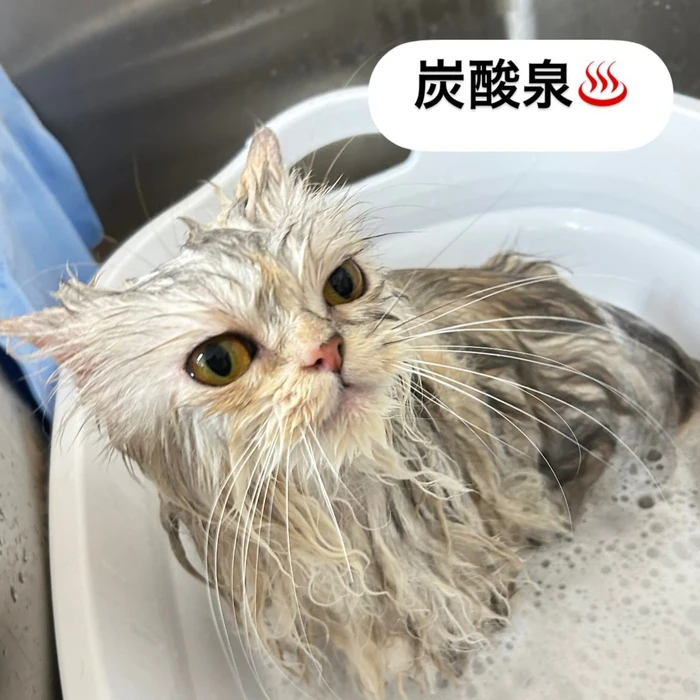 画像1688