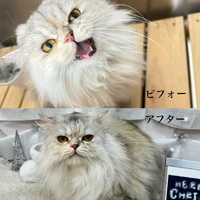 画像1689