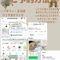 画像1696