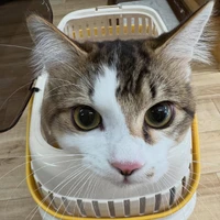 画像1751