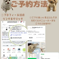 画像1765