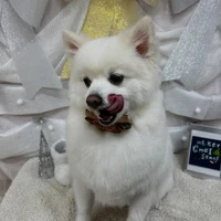 画像1811