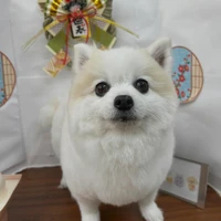 画像1979