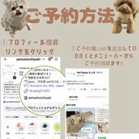 画像2030