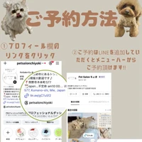 画像2047