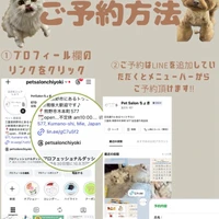 画像2051