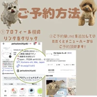 画像2079