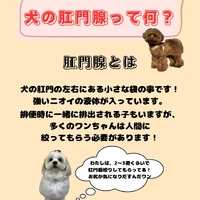 画像2108