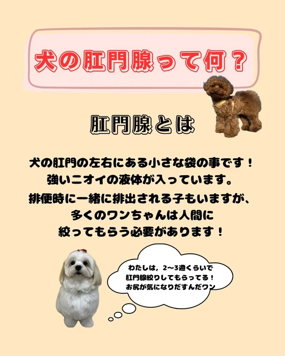画像2108