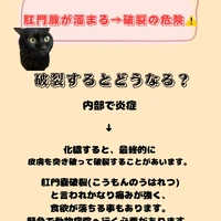 画像2109
