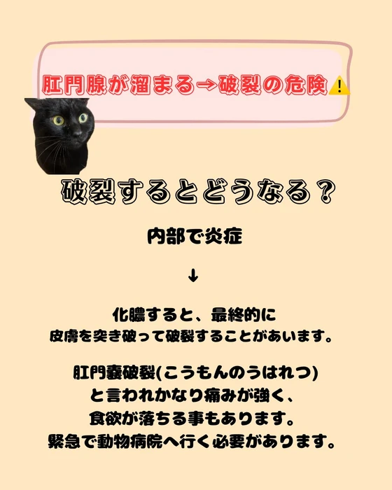 画像2109
