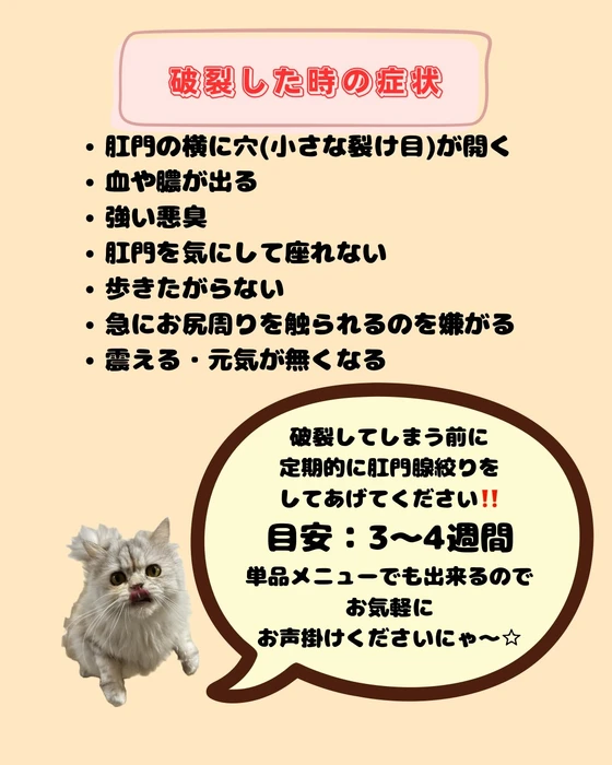 画像2110