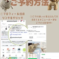 画像2121