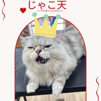 画像2140