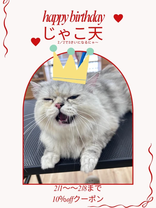 画像2140
