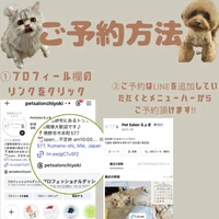 画像2152