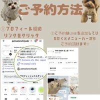 画像2155