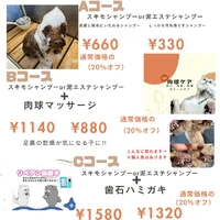 画像2167