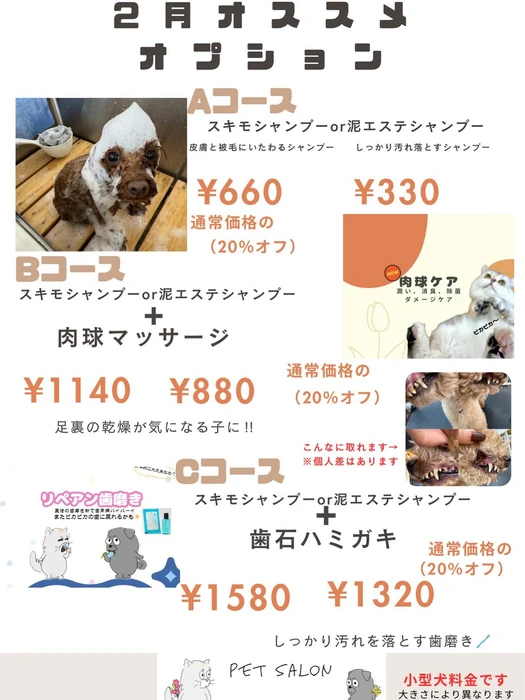 画像2167