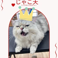 画像2204