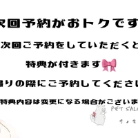 画像2206
