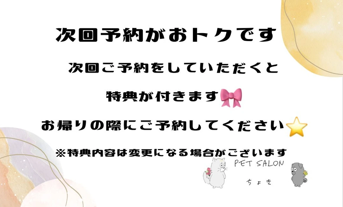 画像2206