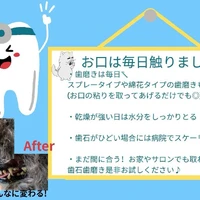 画像2210