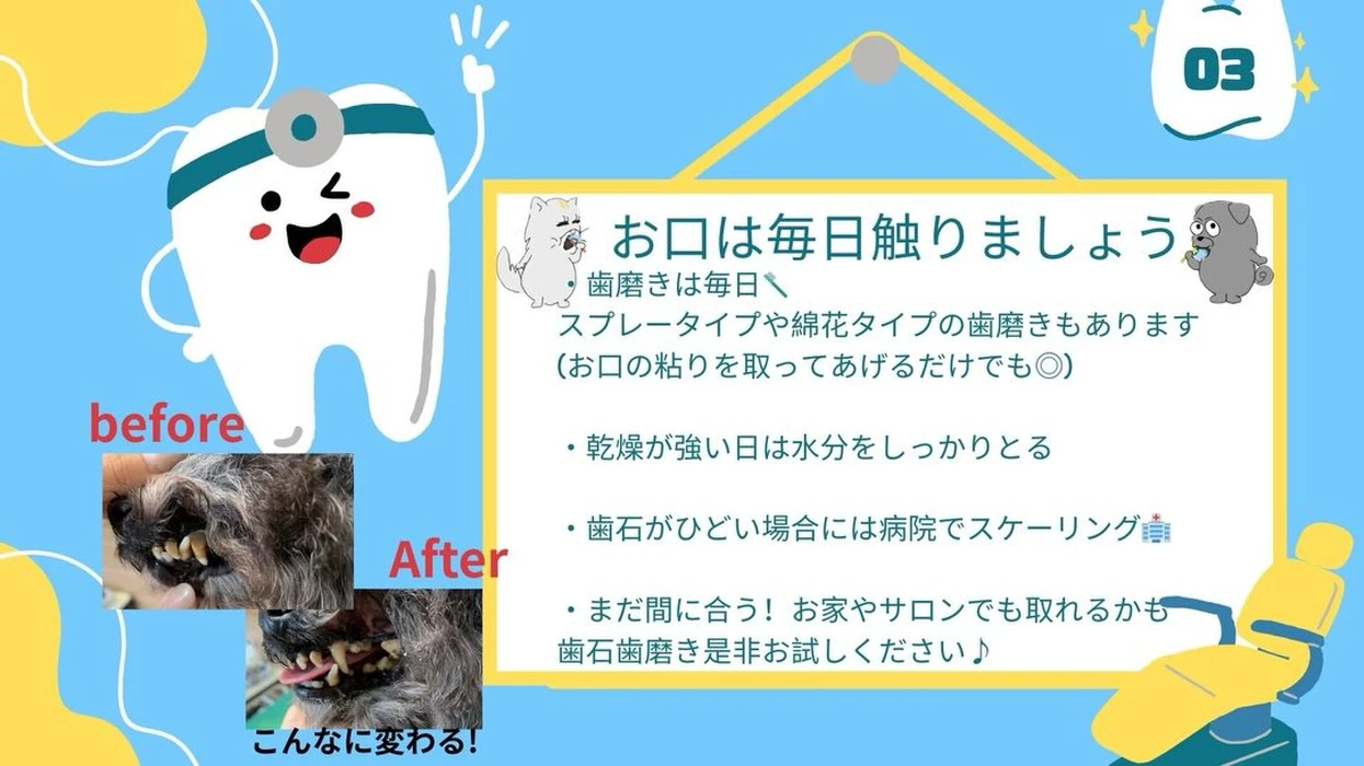 画像2210