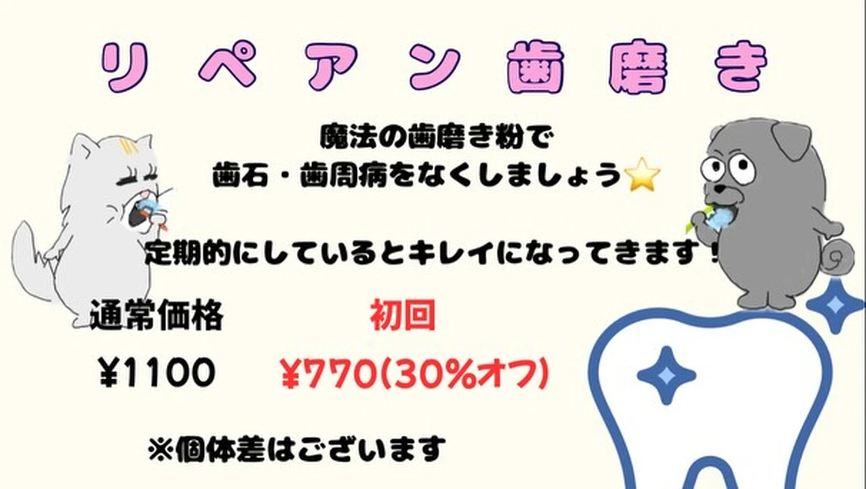 画像2211