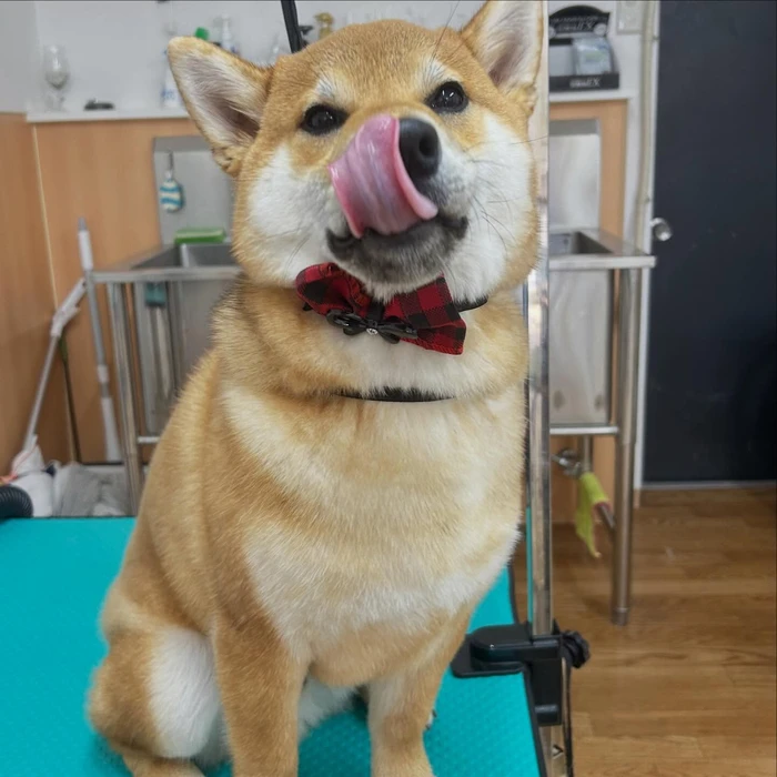 画像2228