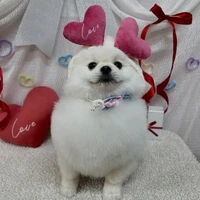 画像2233