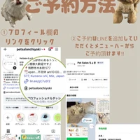 画像2267