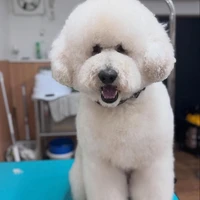 画像2277