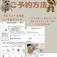 画像2298