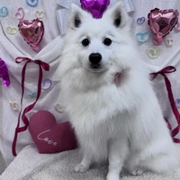 画像2309