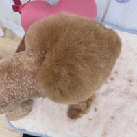 画像2376