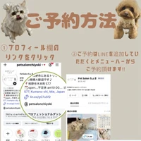 画像2381