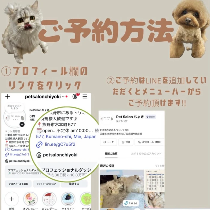 画像2381