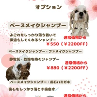 画像2388
