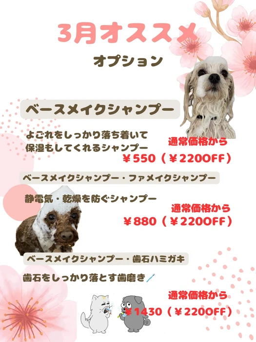画像2388