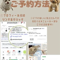 画像2419