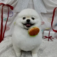 画像2427