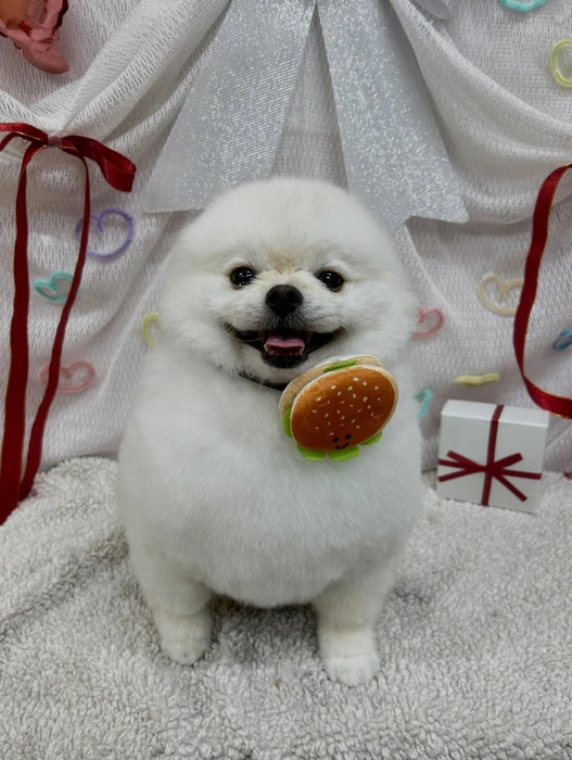 画像2427