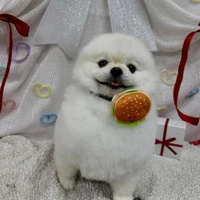 画像2428