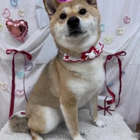 画像2434