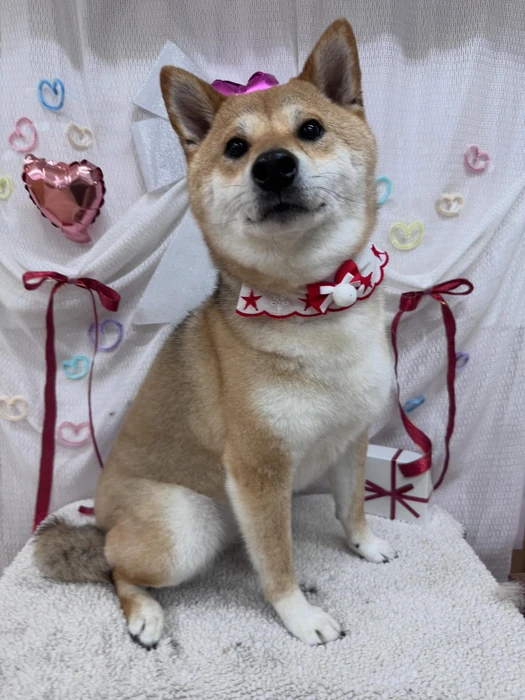 画像2434