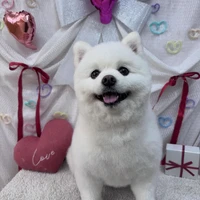 画像2469