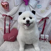 画像2470