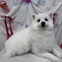 画像2473