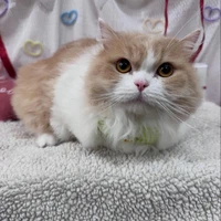 画像2491